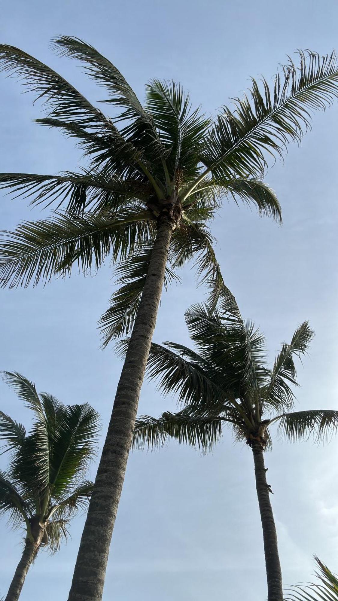 Poya Villa Ahangama Buitenkant foto